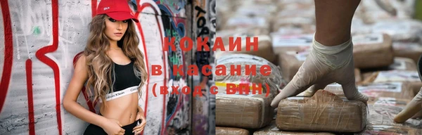 крисы Наволоки