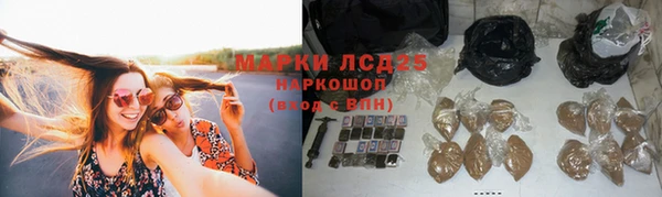 ешки Нефтекумск