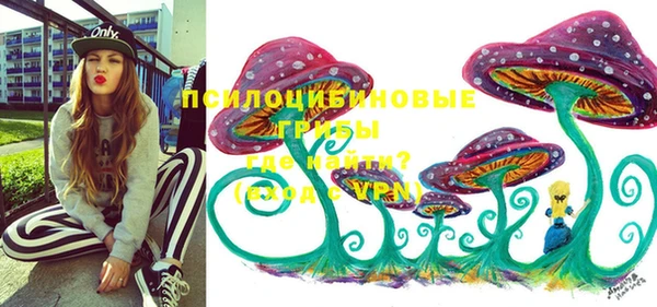 первитин Нея