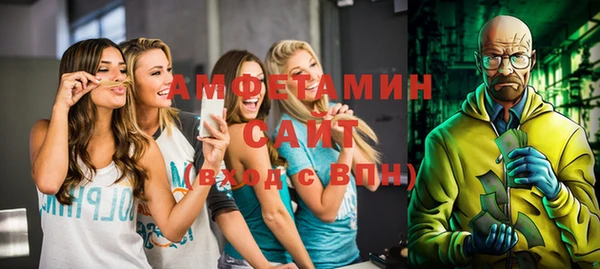 индика Анива